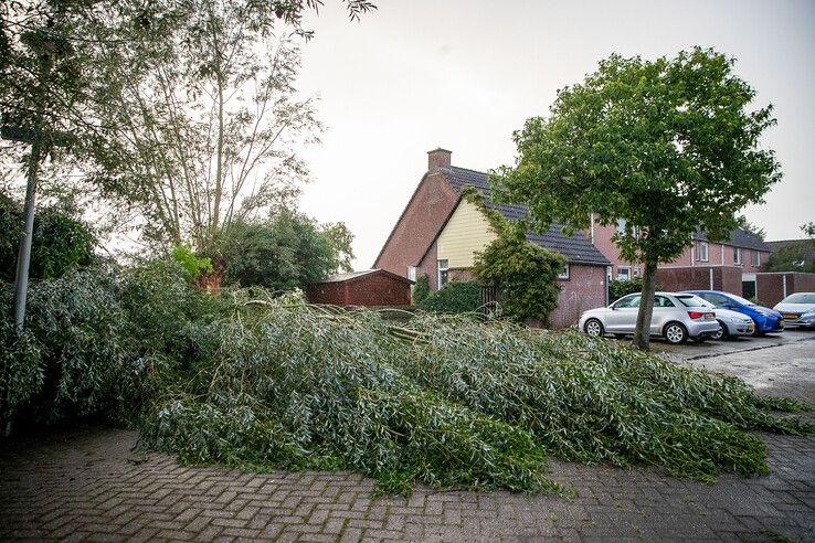 Mirteweg - Foto: Hugo Janssen