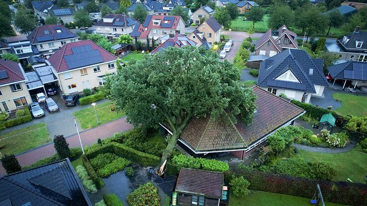 Speltakker in Heino. - Foto: Hugo Janssen