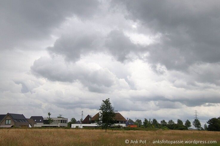 Achter het Zandhovebos. - Foto: Ank Pot