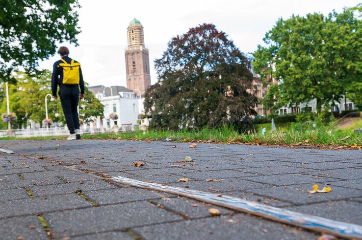 De gemeente gaat de blauwe lijn verwijderen na de bronsdiefstal. - Foto: Peter Denekamp