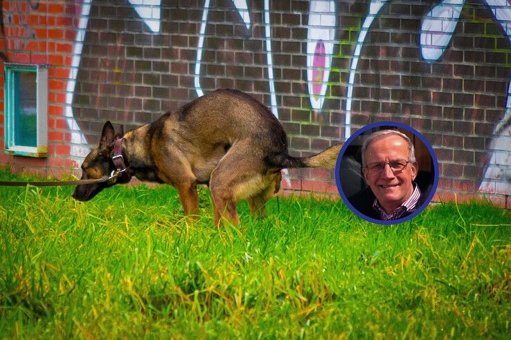 Dezer dagen is me in een krantenartikel het verschil uitgelegd tussen een hondendrol en paardenpoep. - Foto: Peter Denekamp