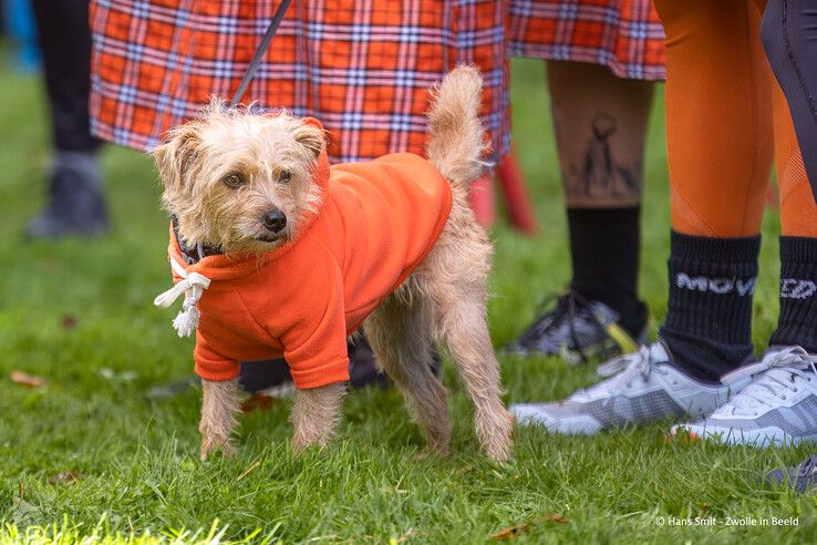 In beeld: 20e editie van de Highlandgames in Zwolle - Foto: Hans Smit