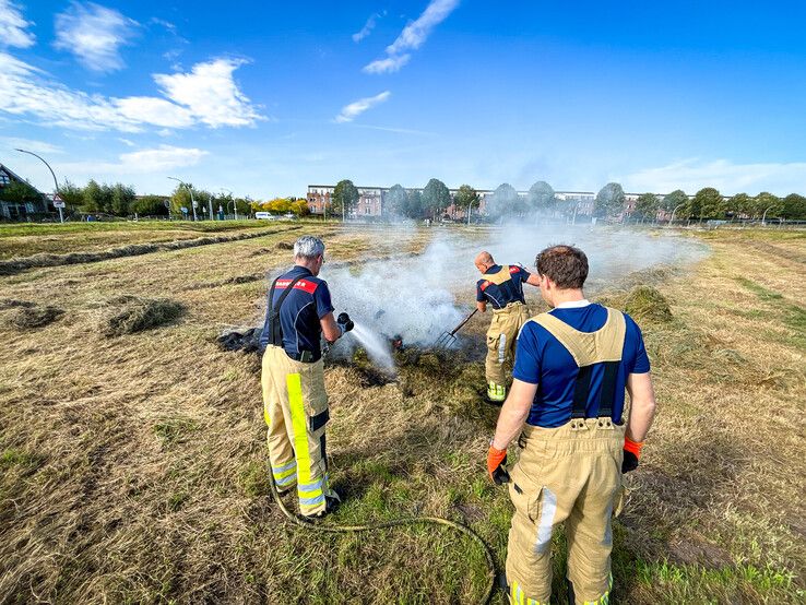 Strook gemaaid gras in brand gevlogen in Stadshagen - Foto: Hugo Janssen