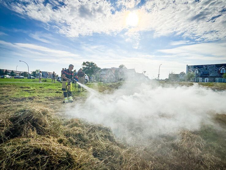 Strook gemaaid gras in brand gevlogen in Stadshagen - Foto: Hugo Janssen