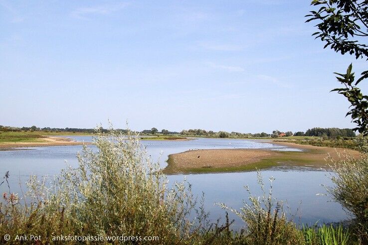 Uiterwaarden bij Westenholte. - Foto: Ank Pot