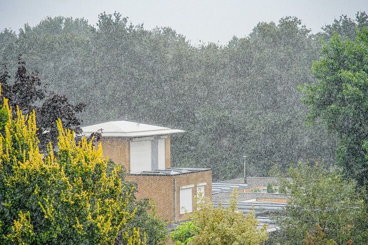 Forse regenval in de Rostockstraat. - Foto: Obbe Bakker