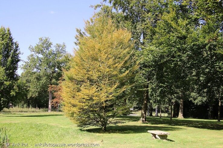 Eerste herfsttinten in Zandhove. - Foto: Ank Pot