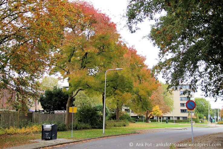 Dommel - Foto: Ank Pot