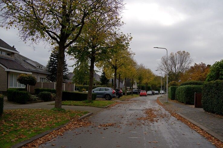 Boutensstraat - Foto: Bob Koning