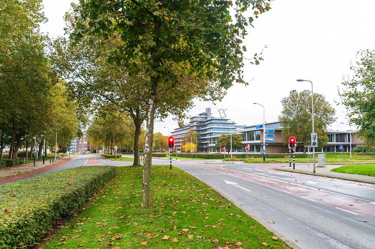 De verkeerslichten op de Luttenbergstraat bij de Wethouder Alferinkweg. - Foto: Peter Denekamp