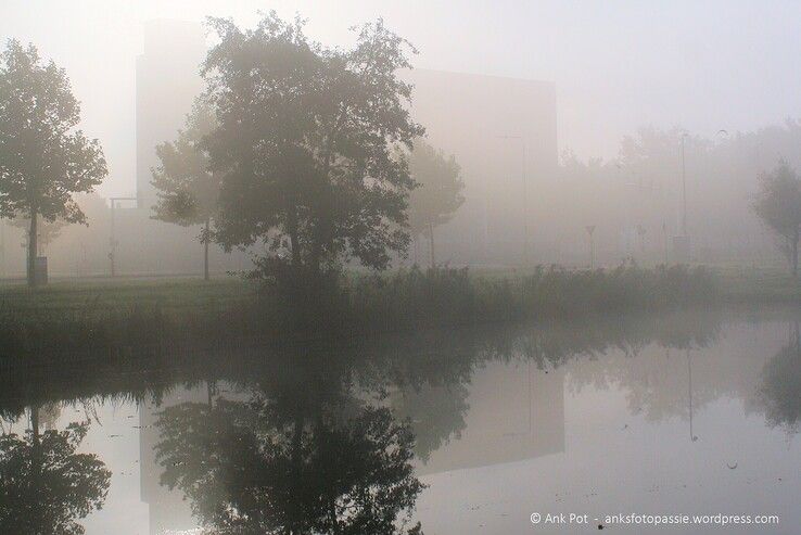 Omgeving Rijnlaan - Zwartewaterallee. - Foto: Ank Pot