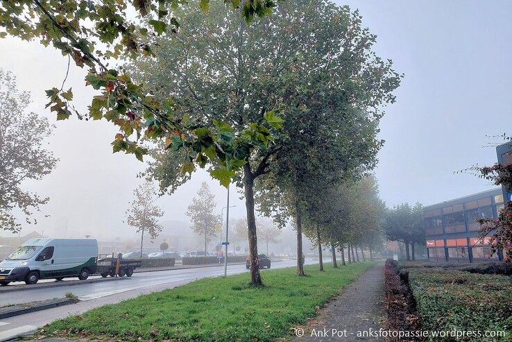 Mist op de Rijnlaan. - Foto: Ank Pot