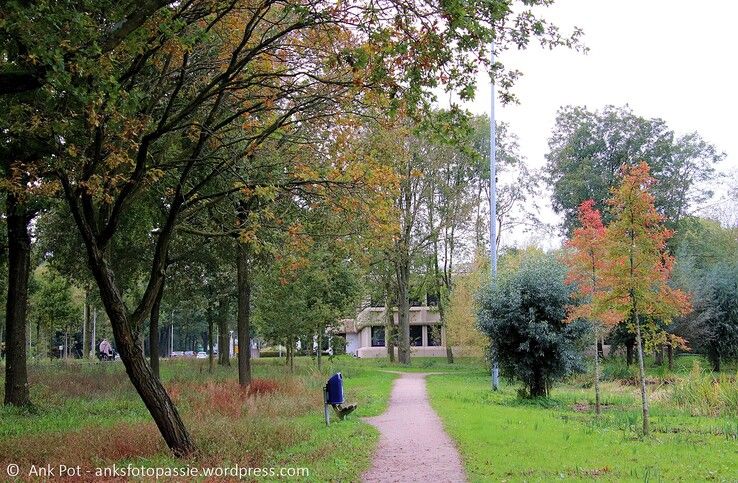 Wandelpad langs de Zwartewaterallee. - Foto: Ank Pot