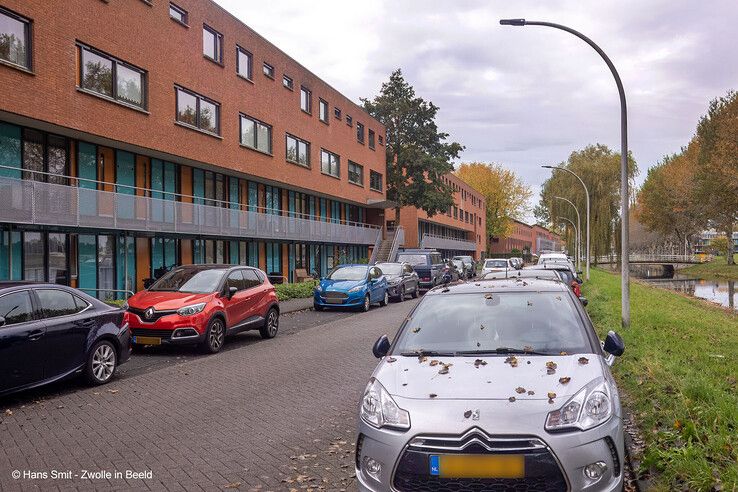 Beeldsnijderstraat - Foto: Hans Smit