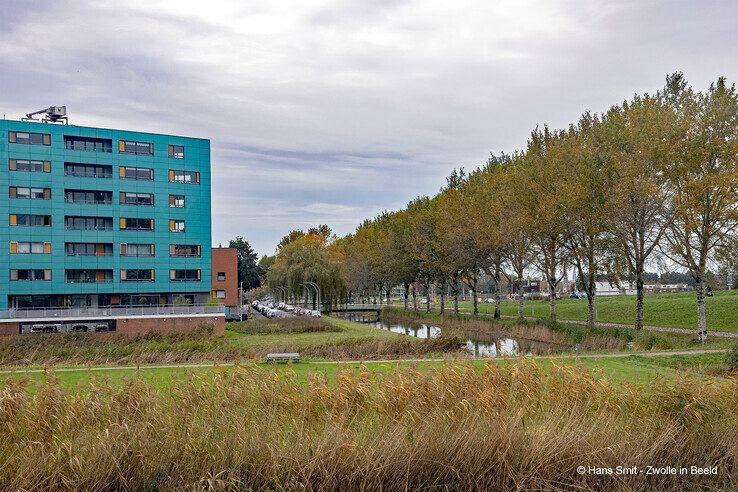 Beeldsnijderstraat gezien vanaf de Hasselterdijk. - Foto: Hans Smit