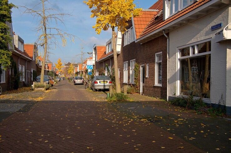 Tulpstraat - Foto: Bob Koning