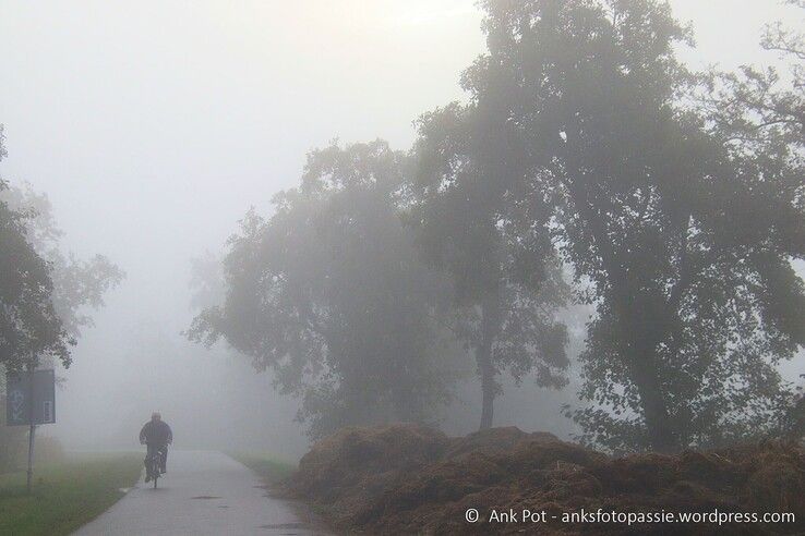 Kolksteeg in de mist. - Foto: Ank Pot