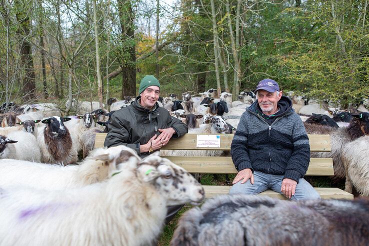 Gepensioneerde herder van Zwolse kudde Tjitse Terpstra overdonderd door eerbetoon in Westerveldse Bos - Foto: Ruben Meinten