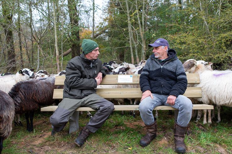 Gepensioneerde herder van Zwolse kudde Tjitse Terpstra overdonderd door eerbetoon in Westerveldse Bos - Foto: Ruben Meinten