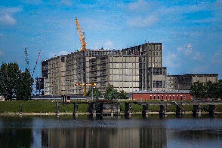 Harculo in de zomer van 2017. - Foto: Peter Denekamp