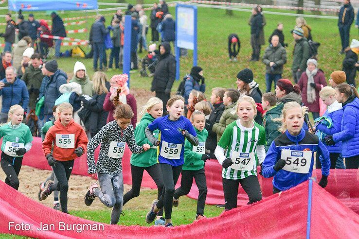 In beeld: Honderden hardlopers rennen over pittig parcours langs Wijthmenerplas - Foto: Jan Burgman