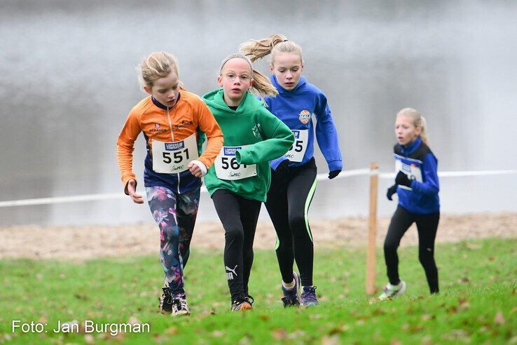 In beeld: Honderden hardlopers rennen over pittig parcours langs Wijthmenerplas - Foto: Jan Burgman