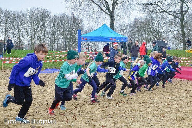 In beeld: Honderden hardlopers rennen over pittig parcours langs Wijthmenerplas - Foto: Jan Burgman