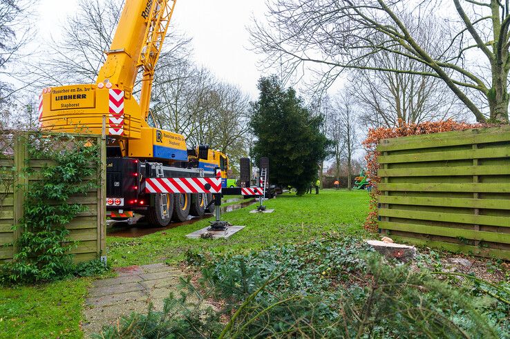 In beeld: Stadskerstboom gekapt in Zwolle-Zuid - Foto: Peter Denekamp