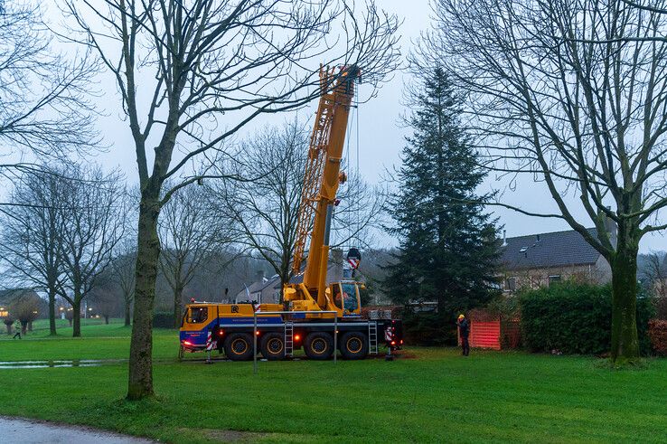 In beeld: Stadskerstboom gekapt in Zwolle-Zuid - Foto: Peter Denekamp