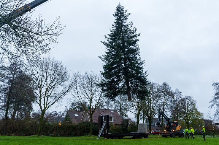 In beeld: Stadskerstboom gekapt in Zwolle-Zuid - Foto: Peter Denekamp