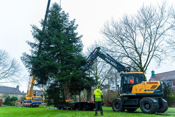 In beeld: Stadskerstboom gekapt in Zwolle-Zuid - Foto: Peter Denekamp