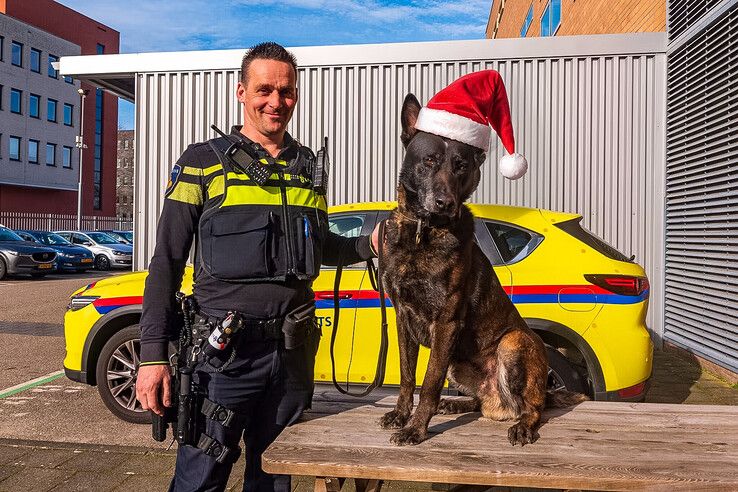 Een hondengeleider met politiehond achter de schermen. - Foto: Peter Denekamp/1Zwolle (gemaakt met AI)