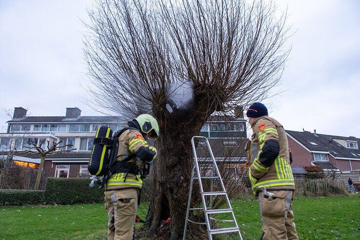 Boom in Westenholte eerste vuurwerkslachtoffer in Zwolle - Foto: Ruben Meinten