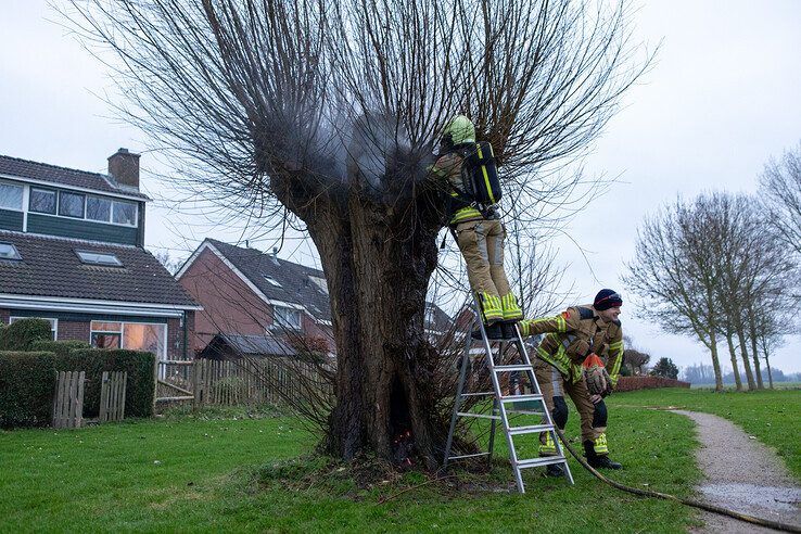 Boom in Westenholte eerste vuurwerkslachtoffer in Zwolle - Foto: Ruben Meinten