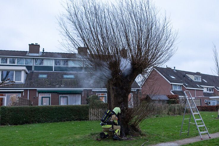 Een brandweerman blust de brand in de wilg. - Foto: Ruben Meinten