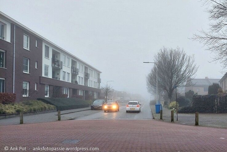 Amer in de mist. - Foto: Ank Pot