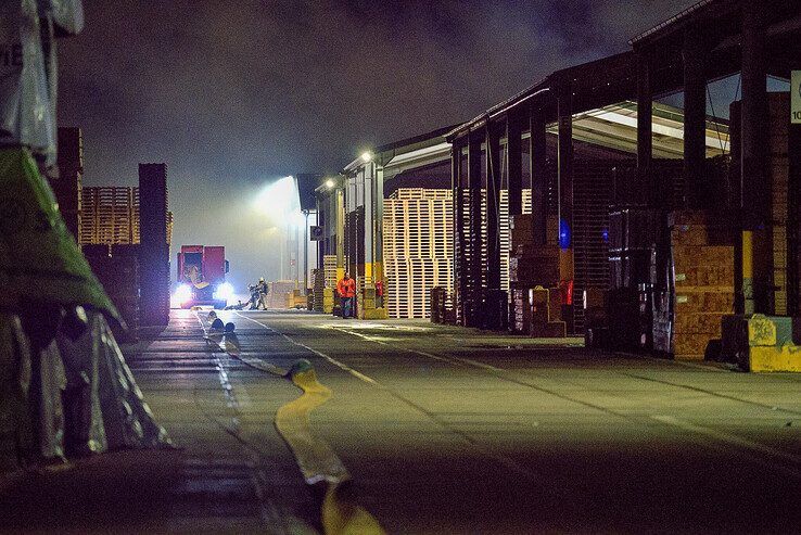 In beeld: Zeer grote brand bij palletbedrijf in Hasselt, vlammen in wijde omtrek te zien - Foto: Bob Koning