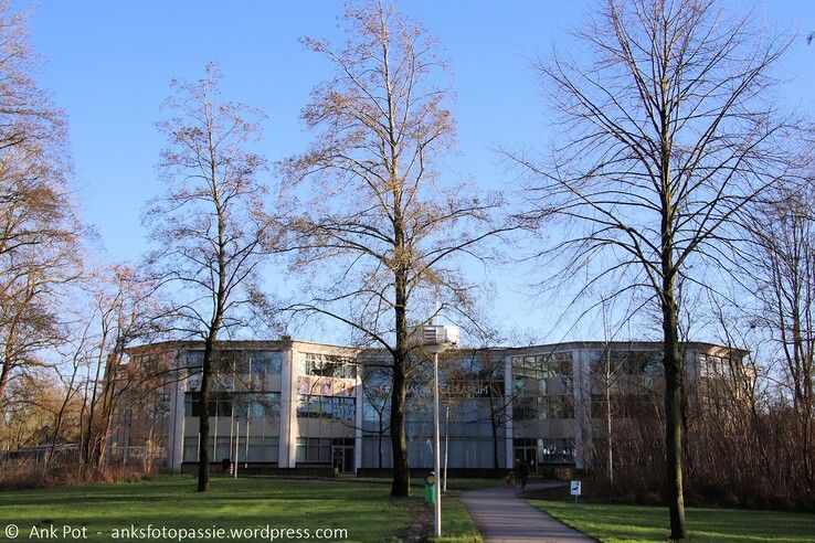 Gymnasium Celeanum - Foto: Ank Pot