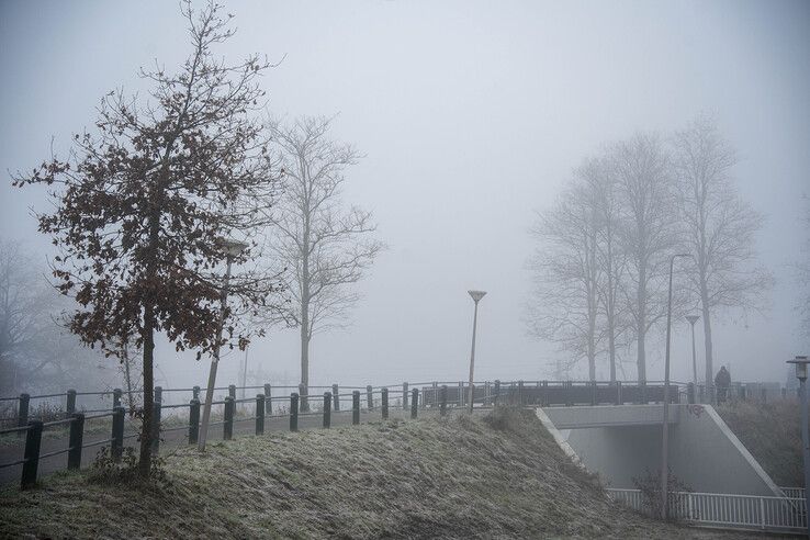 Vriesweer en mist in Zwolle. - Foto: Obbe Bakker