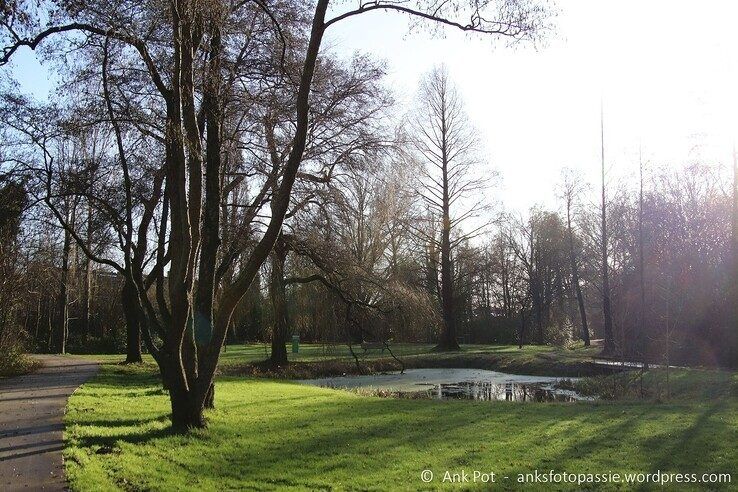 Donderdagmiddag schijnt de zon nog even op Park de Aa-landen. - Foto: Ank Pot