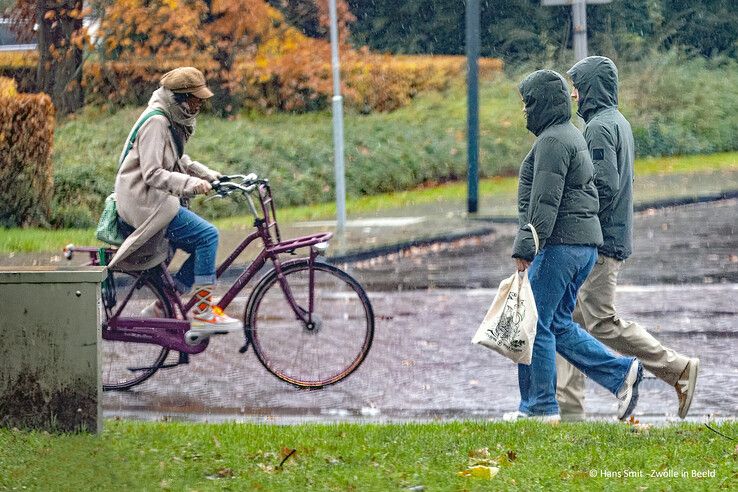 Badhuiswal - Foto: Hans Smit