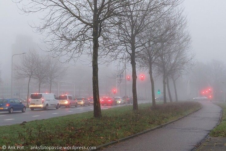 Kruising Rijnlaan - Zwartewaterallee. - Foto: Ank Pot