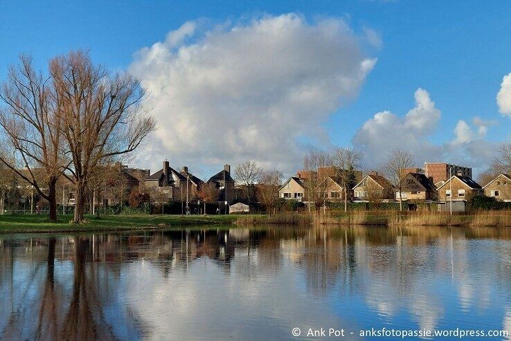 Zicht op de Reggelaan. - Foto: Ank Pot