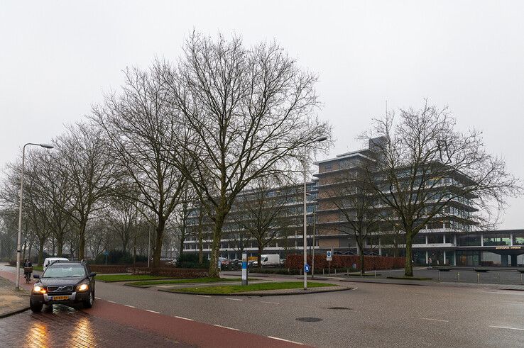 De gemeente heeft een kapvergunning aangevraagd voor de bomen bij het provinciehuis. - Foto: Peter Denekamp