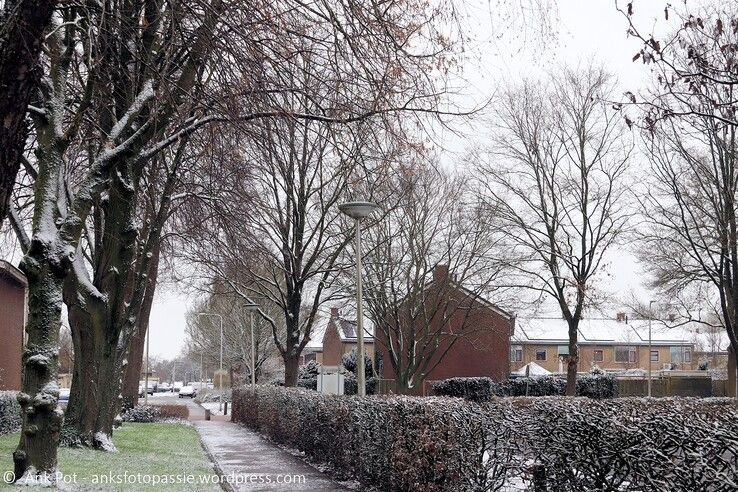 Een beetje sneeuw op de Eemlaan vorige maand. - Foto: Ank Pot