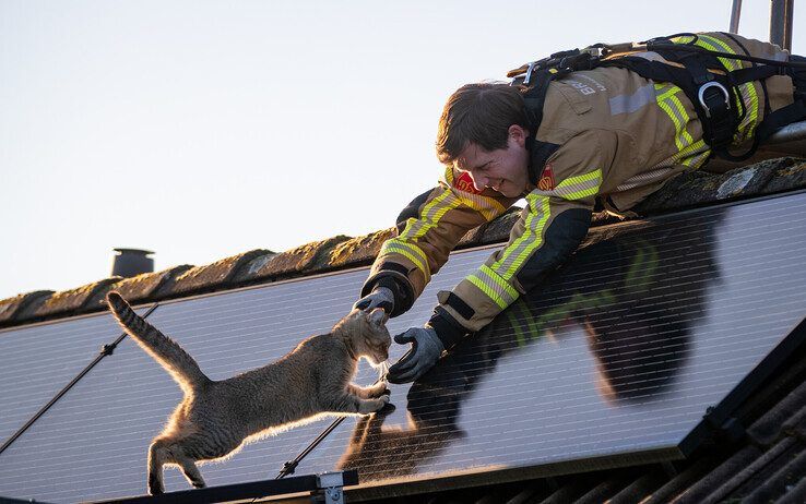 Coco en zijn redder op het dak van de woning in Zwolle-Zuid. - Foto: Hugo Janssen