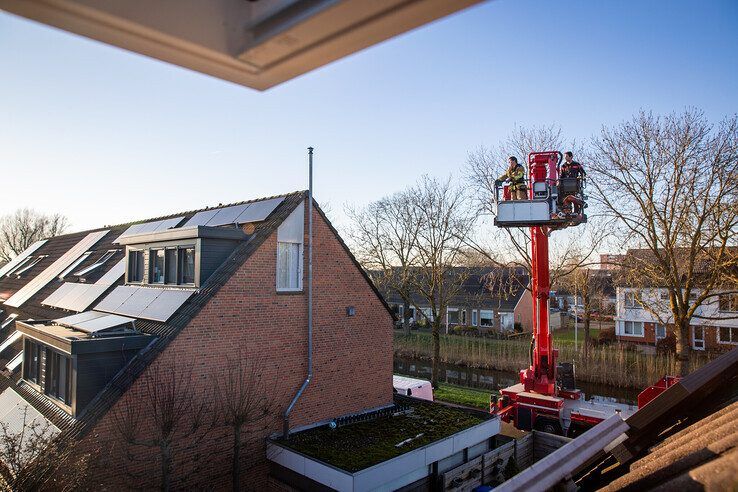 Kater Coco (1) brengt zich opnieuw in de problemen in Zwolle-Zuid, brandweer schiet te hulp - Foto: Hugo Janssen