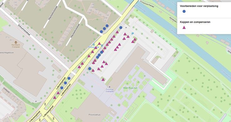 De te kappen en te verplaatsen bomen bij de Luttenbergstraat. - Foto: Gemeente Zwolle