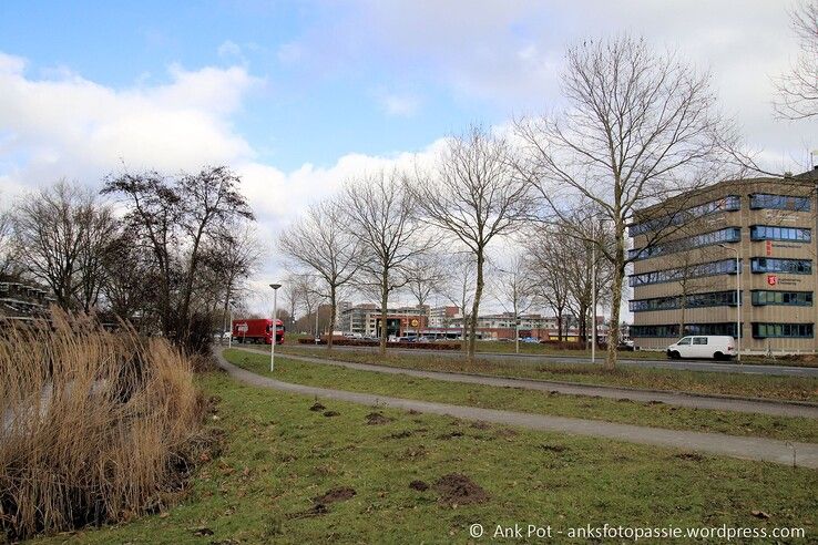 Rijnlaan - Foto: Ank Pot