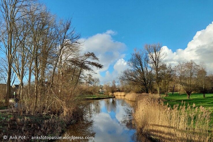 Westerveldse Aa - Foto: Ank Pot